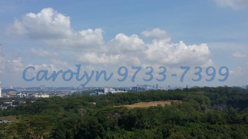 Blk 630 Senja Road (Bukit Panjang), HDB 4 Rooms #85089212